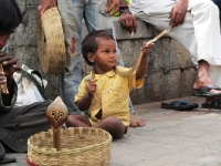 Third Award Winner - Strange Sights; Photographer: Vaibhav; Location: Mysore
