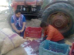 Malpura Gate Market, Sanganer (North)