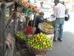 Malpura Gate Market, Sanganer (North)