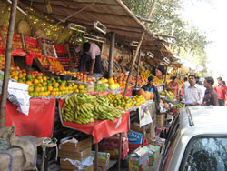 Malpura Gate Market, Sanganer (North)