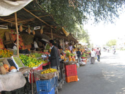 Malpura Gate Market, Sanganer (North)