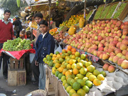 Malpura Gate Market, Sanganer (North)