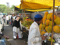 Malpura Gate Market, Sanganer (North)